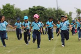 Playground - The Achievers Pre-School
